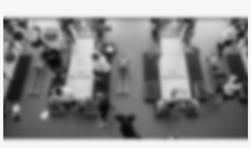 Screen Shot 2016 06 21 At - Snapshot, transparent png download