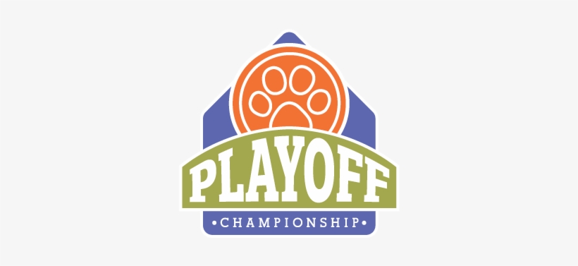 Dumb Friends League Playoff Championship - National Football League Playoffs, transparent png download