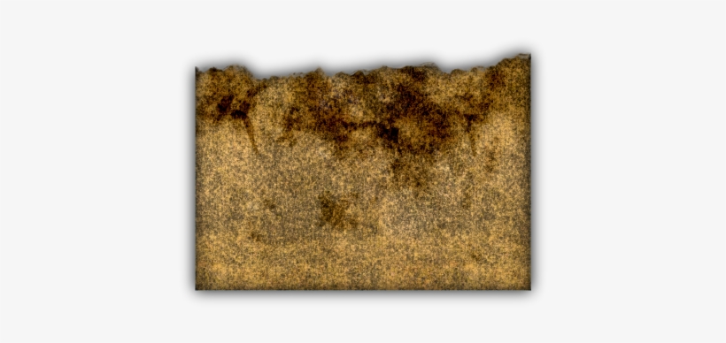 06 Feb 2009 - Grass, transparent png download