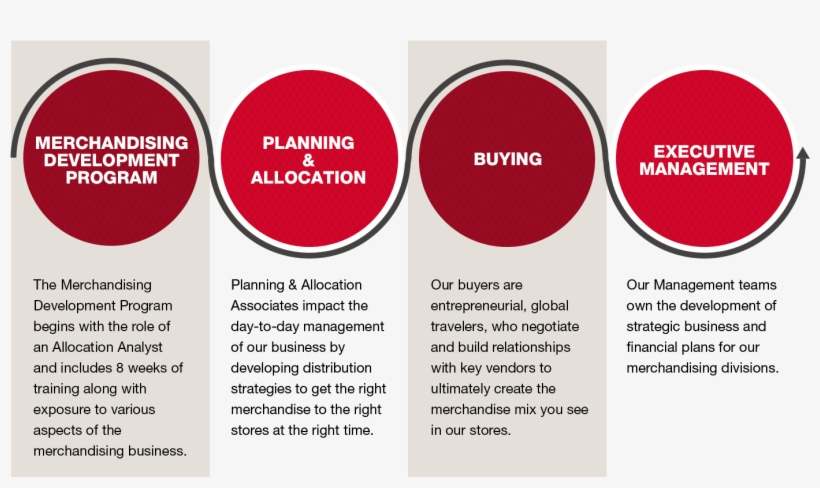 The Tjx Merchant Career Path Example - Merchandising Career Path, transparent png download