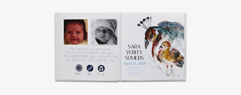 Finch, transparent png download