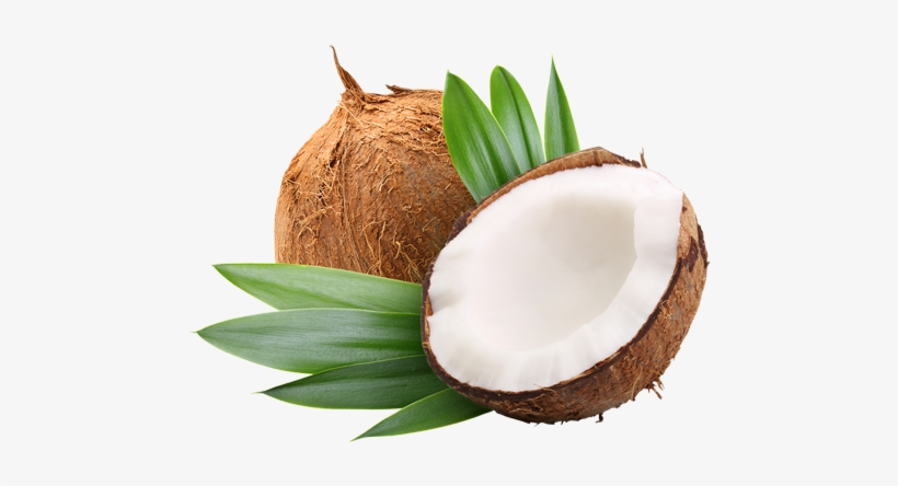 Properties And Benefits Of Coconut Oil - Anjou Coconut Oil 32 Oz, Organic Extra Virgin, Cold, transparent png download