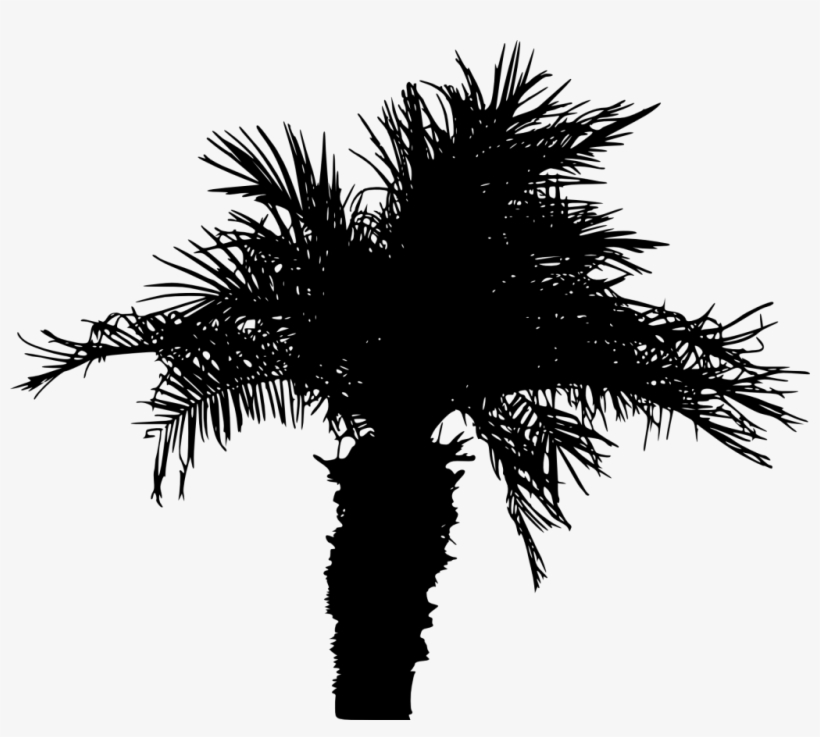 Free Png Palm Tree Silhouette Png Images Transparent - Portable Network Graphics, transparent png download