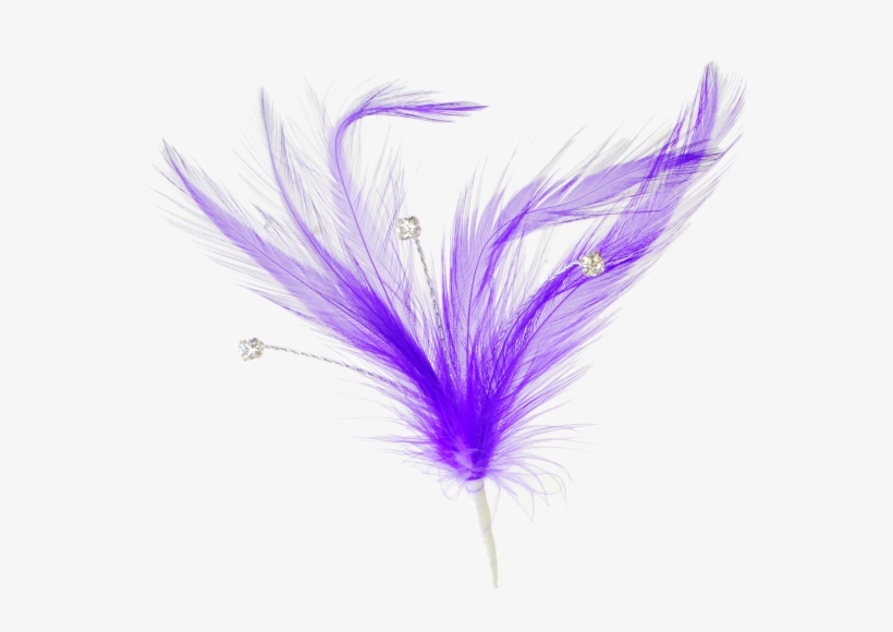 Single Peacock Feathers Png Download - Flutters Feathers - Purple (15cm Long, 3 Pcs Per Pack), transparent png download