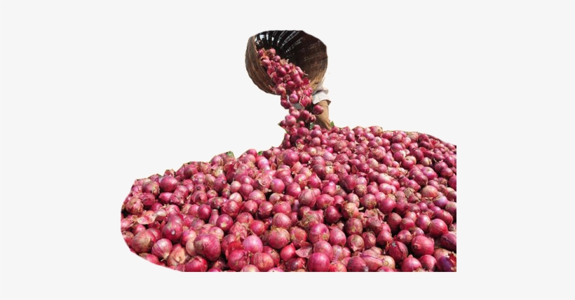 3 3 - Spice Crops: Production Technology, transparent png download