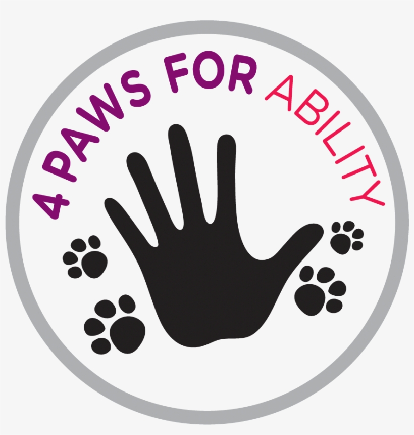 4 Paws For Ability - Service Dog With Disable People, transparent png download