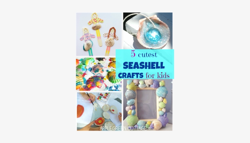 Seashell Crafts For Kids - Child, transparent png download