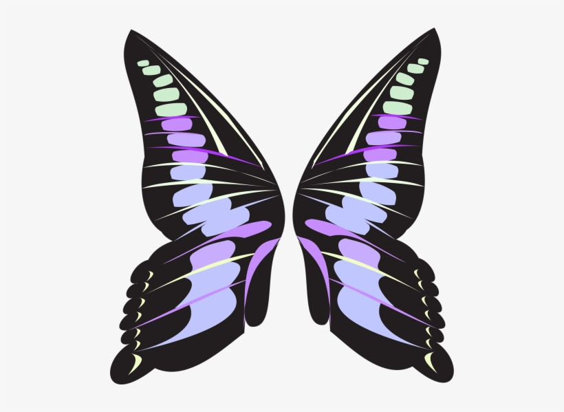 Tale,tale - Png ปีก ผีเสื้อ, transparent png download