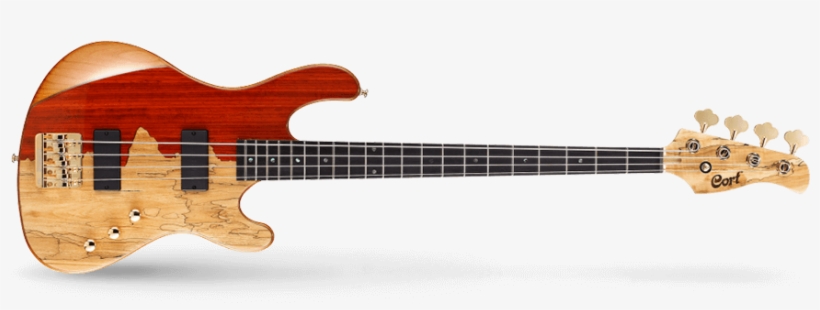 Cort Rithimic, transparent png download