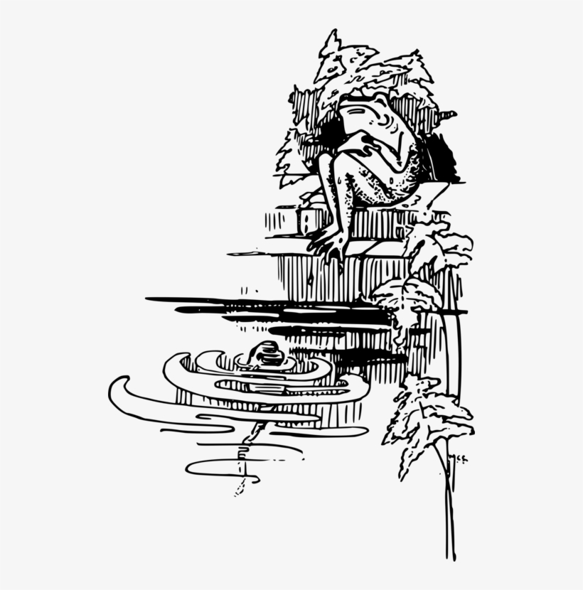 Frog Tadpole Drawing Cartoon Visual Arts - Drawing, transparent png download