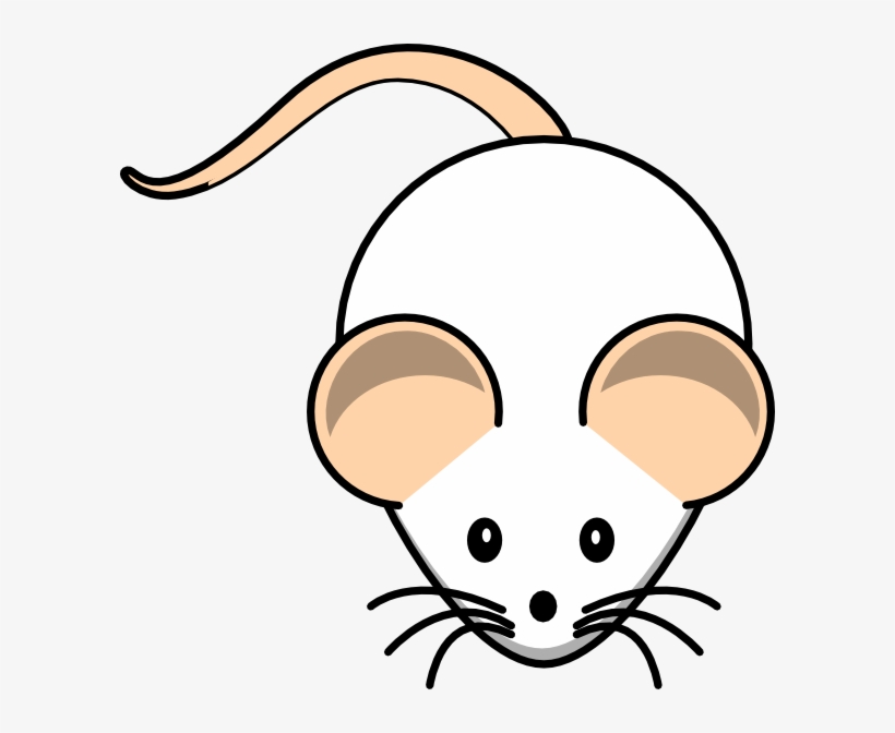 Clip Royalty Free Library Collection Of High Quality - Rat Clipart, transparent png download