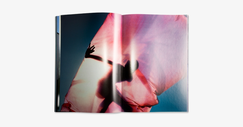 Previous / Next Image - Tulip, transparent png download