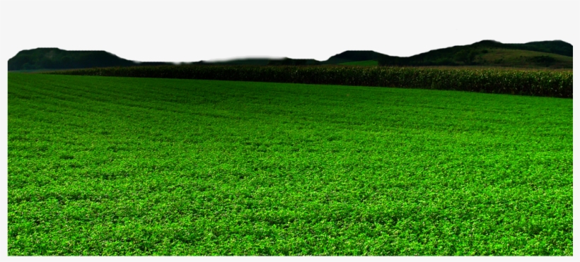 Nature Free Png Image - Nature Png, transparent png download
