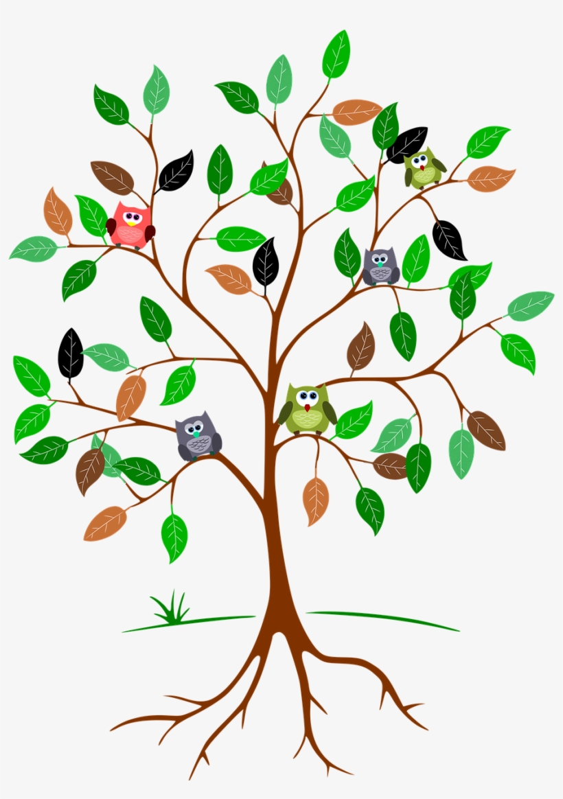 Tree Root Leaves Owls Green Png Image - Join My Team Country Scents And Suds, transparent png download