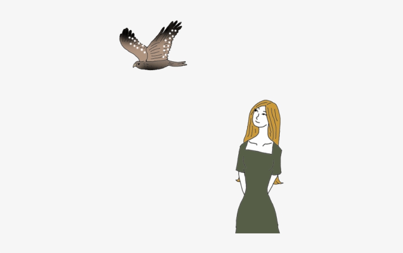 Hawk - Red-tailed Hawk, transparent png download