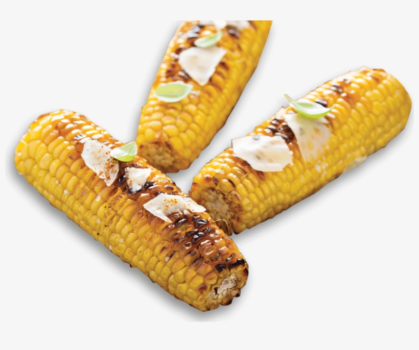 & Sun - Grilled Corn On The Cob Png, transparent png download