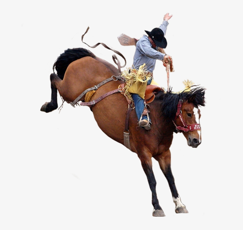 Cowboy Png - Rodeo Horse Png PNG Image | Transparent PNG Free Download