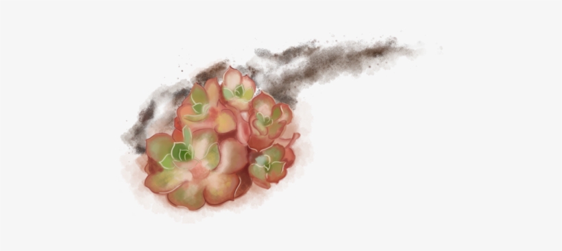 Bringing You Closer To Nature - Gift, transparent png download