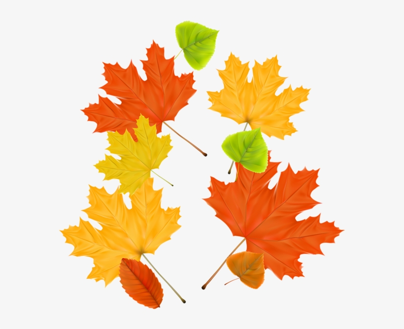 Gallery Free Clipart Picture&hellip Fall Png Autumn - Осенние Листья, transparent png download