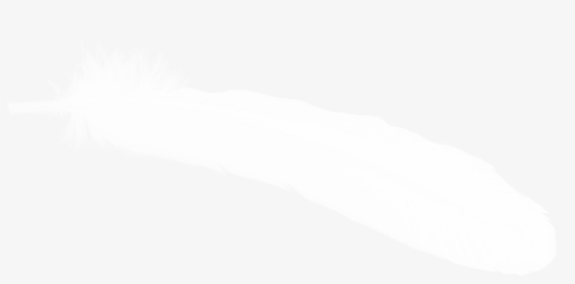Белое Перо Пнг, transparent png download