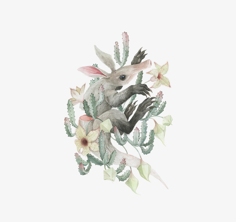 Aardvark And The Carrion Cactus - Carrion Flower, transparent png download