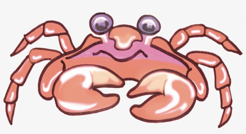 Amusing Gifts For Special Occasions - Crabs Need Love Too Shower Curtain, transparent png download