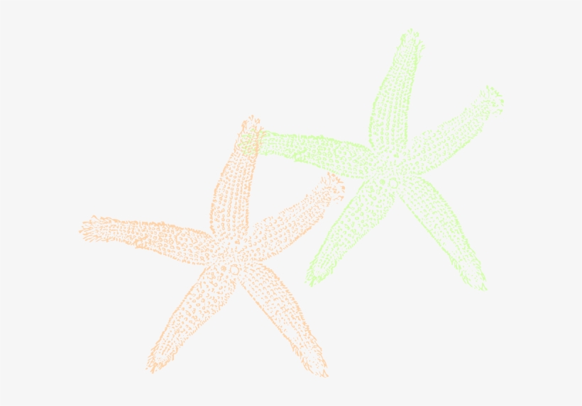 How To Set Use Double Starfish Clipart, transparent png download
