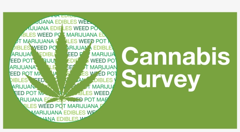 Wdg Public Health On Twitter - Canine Behavior: Insights And Answers [with Ebook], transparent png download