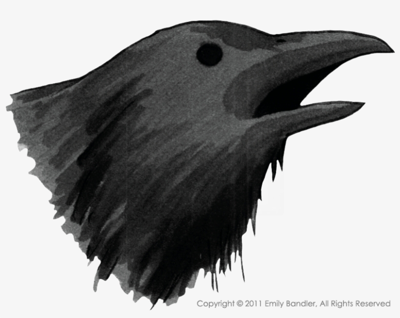 Collection Of Free Raven Fantasy Download On - Raven Drawing Png, transparent png download