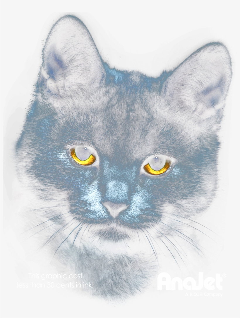 Black Cat - Chartreux, transparent png download