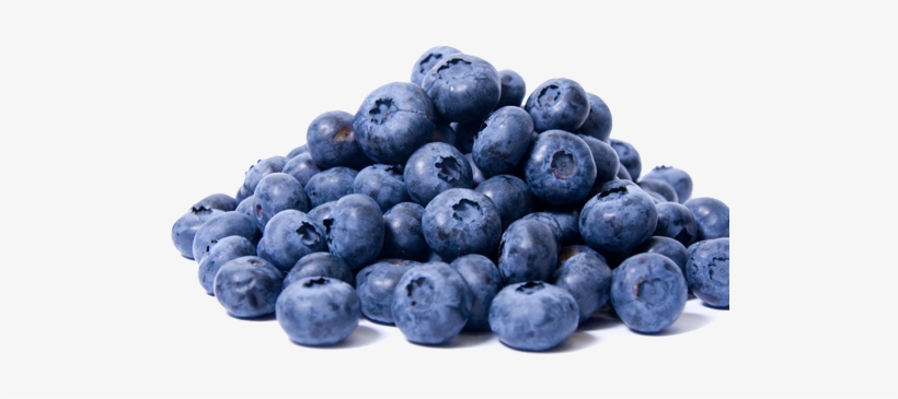 Go To Image - Blueberry, transparent png download