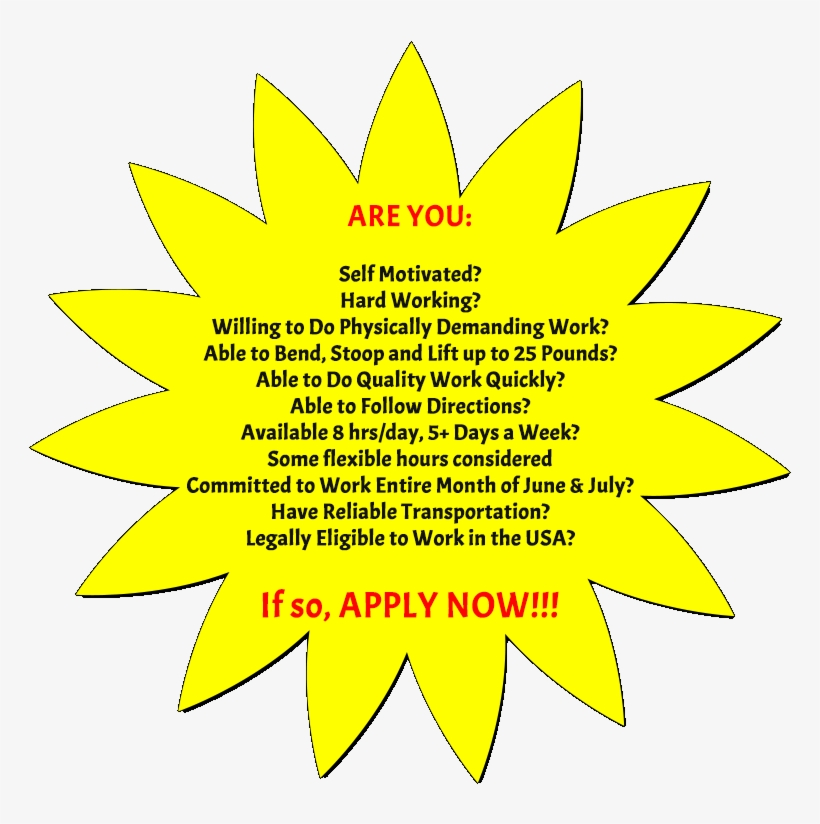 Image Information - Circle, transparent png download