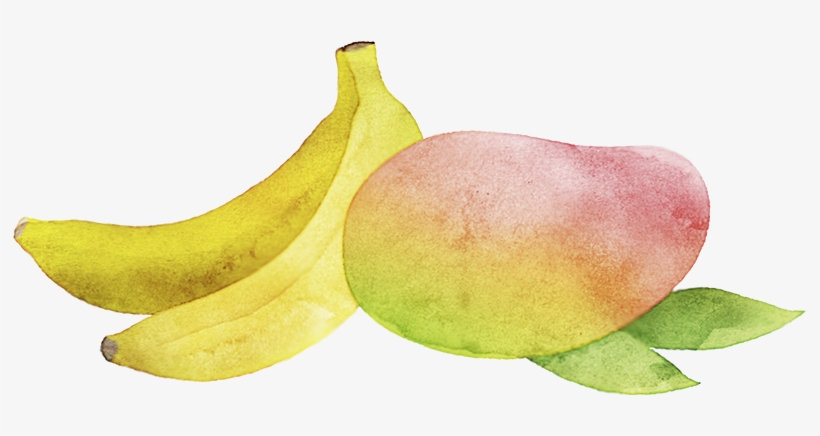 Category - Unkategorisiert - Matoke, transparent png download