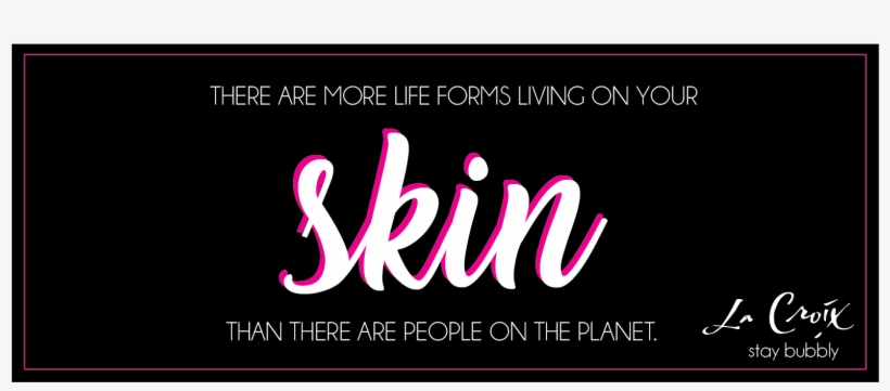 Banner Ads On News Sites - Calligraphy, transparent png download