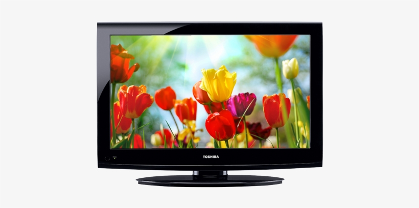 Tv Repair Lcd Led Plasma Tv And Standard 0506768482, - Toshiba 32dt2u1, transparent png download