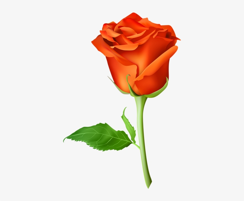 Rose Orange Transparent Png Clip Art Image Clipart - Orange Rose Flower Png, transparent png download