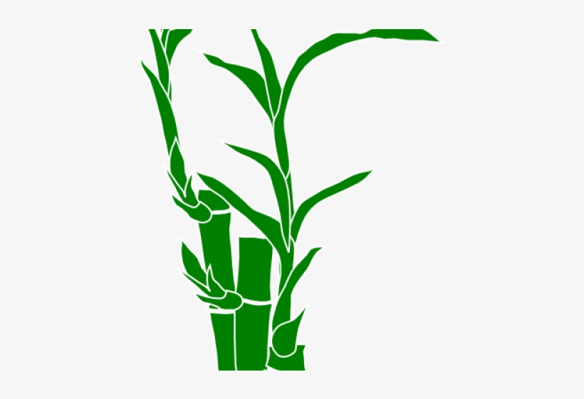 Bamboo Clipart Border - Clip Art, transparent png download