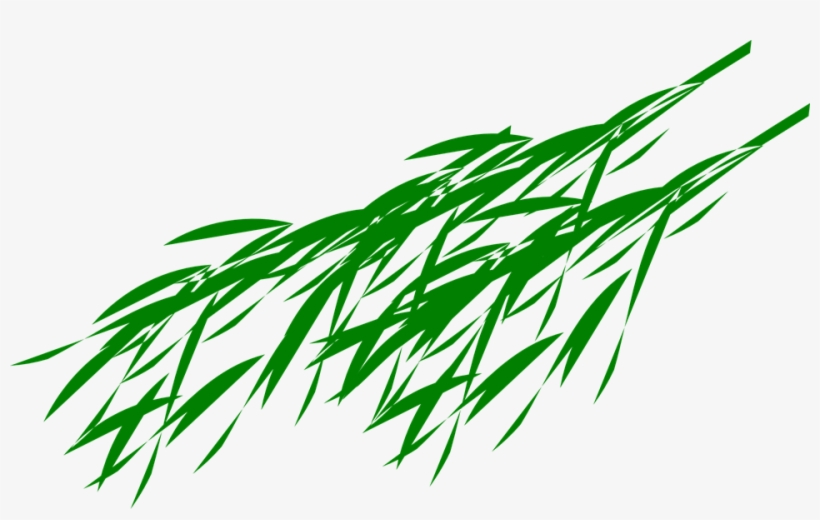 Bamboo Leaf Png Transparent Image - Panda Bear Eating Bamboo, transparent png download