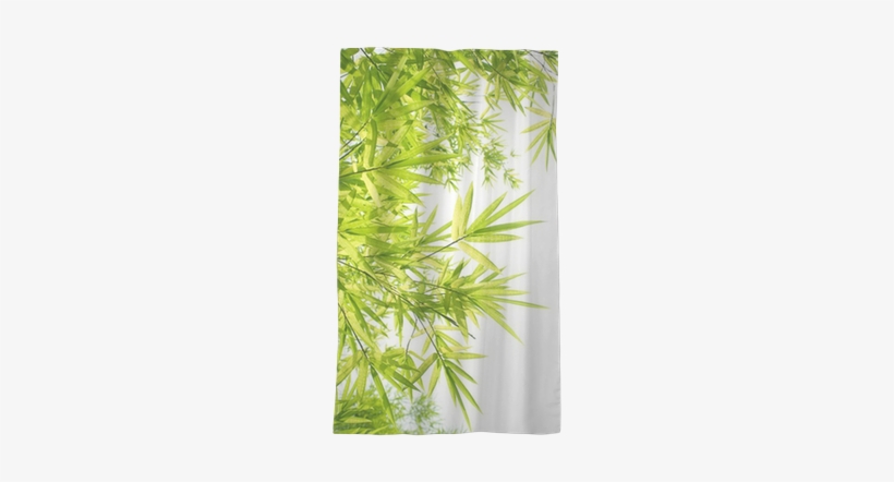 Beautiful Bamboo Border Sheer Window Curtain • Pixers® - Bamboo Border, transparent png download