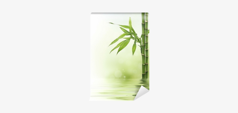 Bamboo Border With Bokeh And Copy Space Wall Mural - Tropical Woody Bamboos, transparent png download