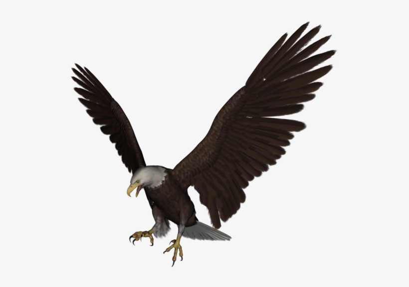 Aigle, transparent png download