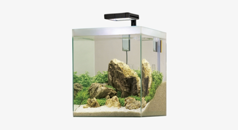 Fluval Fresh F 35, transparent png download