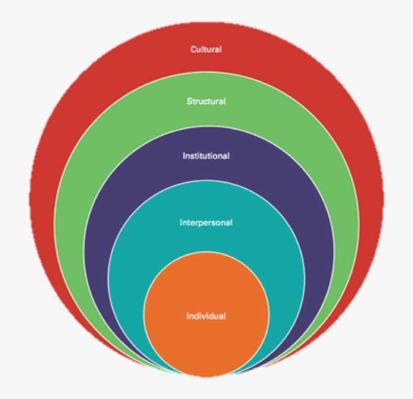 Professor Peter Figueroa To Investigate Issues In Access, - Institutional Level, transparent png download