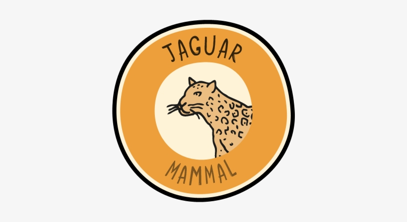 More We Think You'll Love, transparent png download
