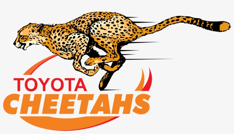 Cheetah Png Transpa Images Clip Art - Cheetahs Rugby Logo, transparent png download