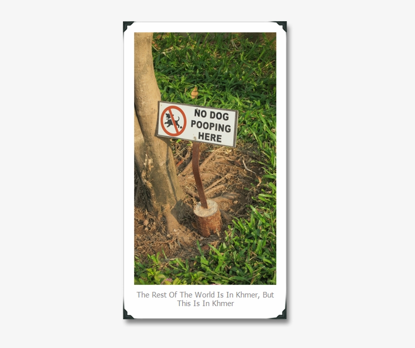 No Dog Pooping - Ruben Dario Francisca Sanchez, transparent png download