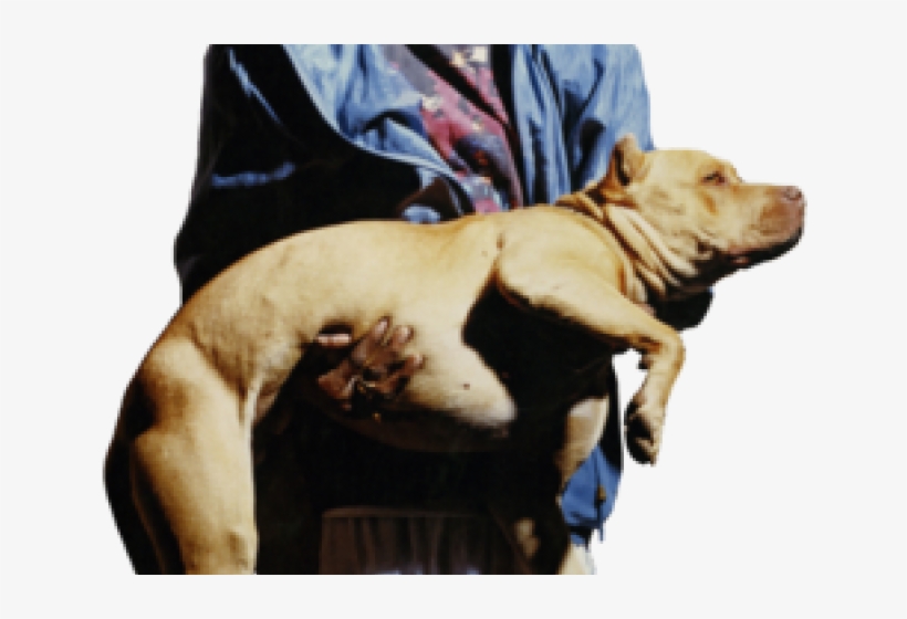 Snoop Dogg Clipart Png - Snoop Dogg Holding A Dog, transparent png download
