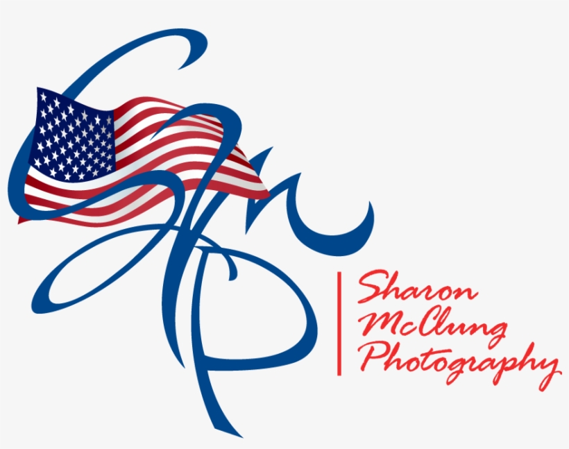 Happy Memorial Day - Introduction To Geography: People, Places, And Environment, transparent png download