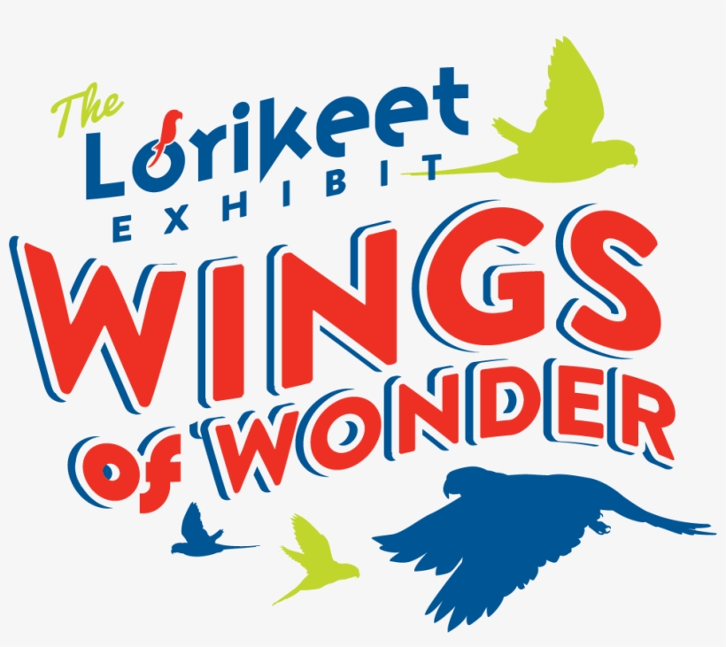 Ncg Lorikeet Cookieart - Nicholas Conservatory & Gardens, transparent png download