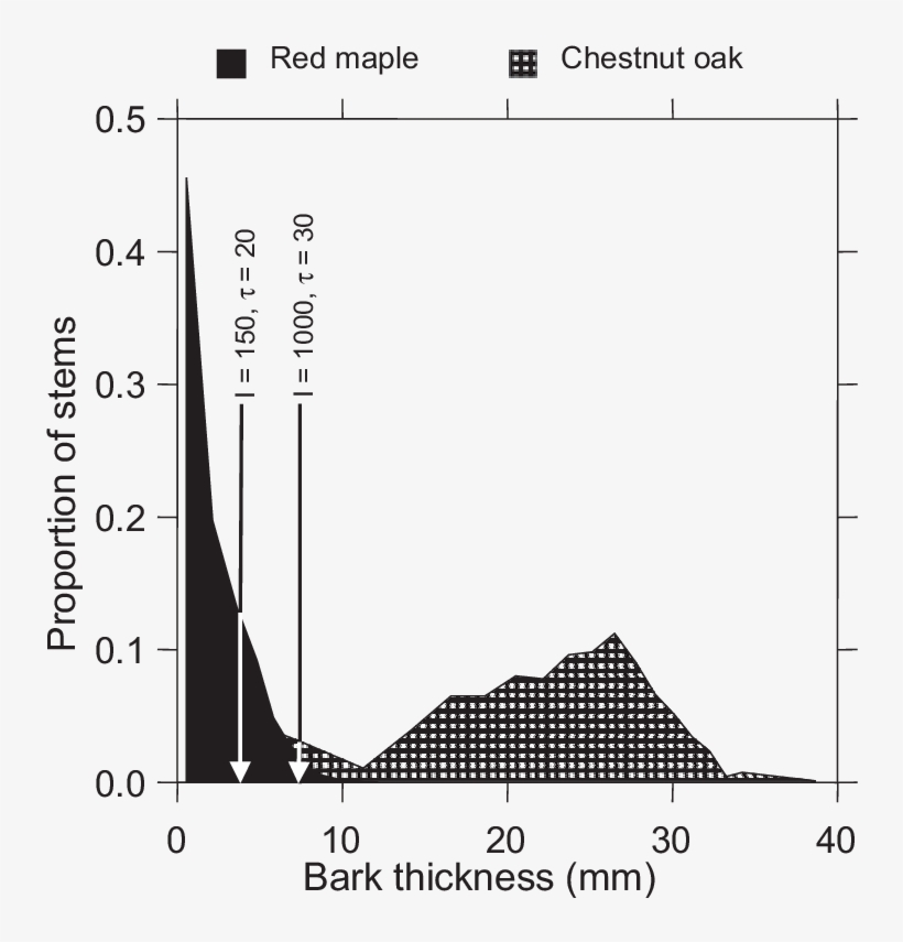 Red Maple And Chestnut Oak Bark-thickness Frequency - Diagram, transparent png download